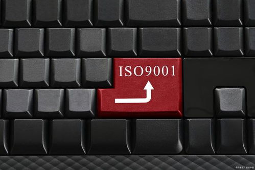 為何這些企業無需進行ISO 9001認證？